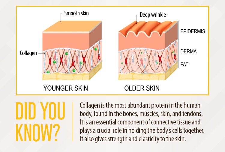 Vitedox Choco Collagen Complex Vitedox Choco Collagen Complex