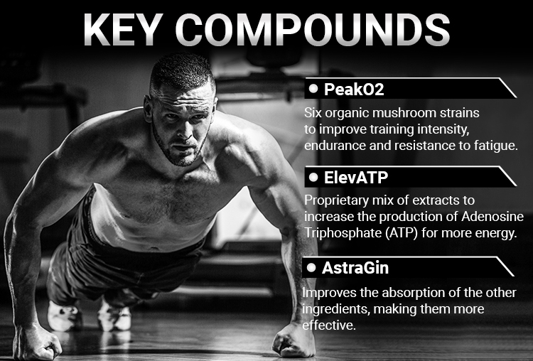 ViteDox Muscle Builder | Food Supplement ViteDox Muscle Builder | Food Supplement