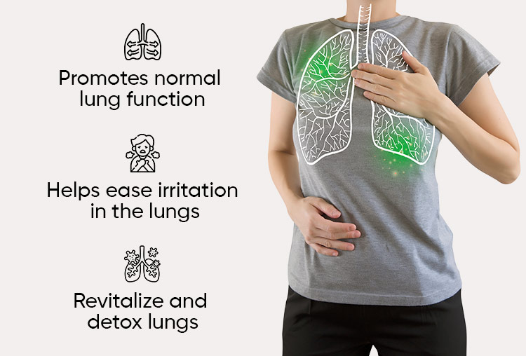 ViteDox Lungwort | Lung Health Supplement ViteDox Lungwort | Lung Health Supplement