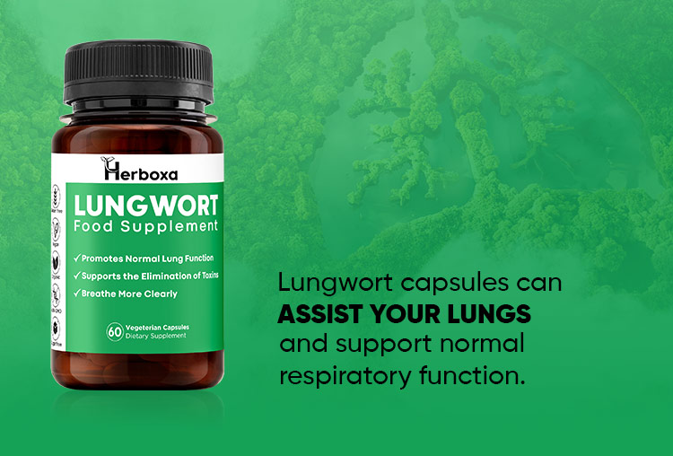 ViteDox Lungwort | Lung Health Supplement ViteDox Lungwort | Lung Health Supplement