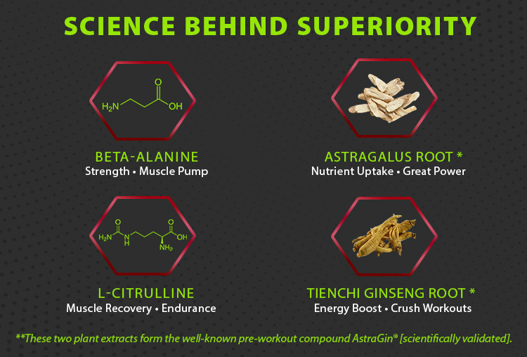 ViteDox NitroSurge | Pre-Workout Supplement ViteDox NitroSurge | Pre-Workout Supplement
