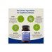 ViteDox Neuro Health | Brain & Focus Formula